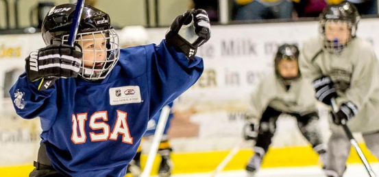 Home - Hockey Equipment Certification Council